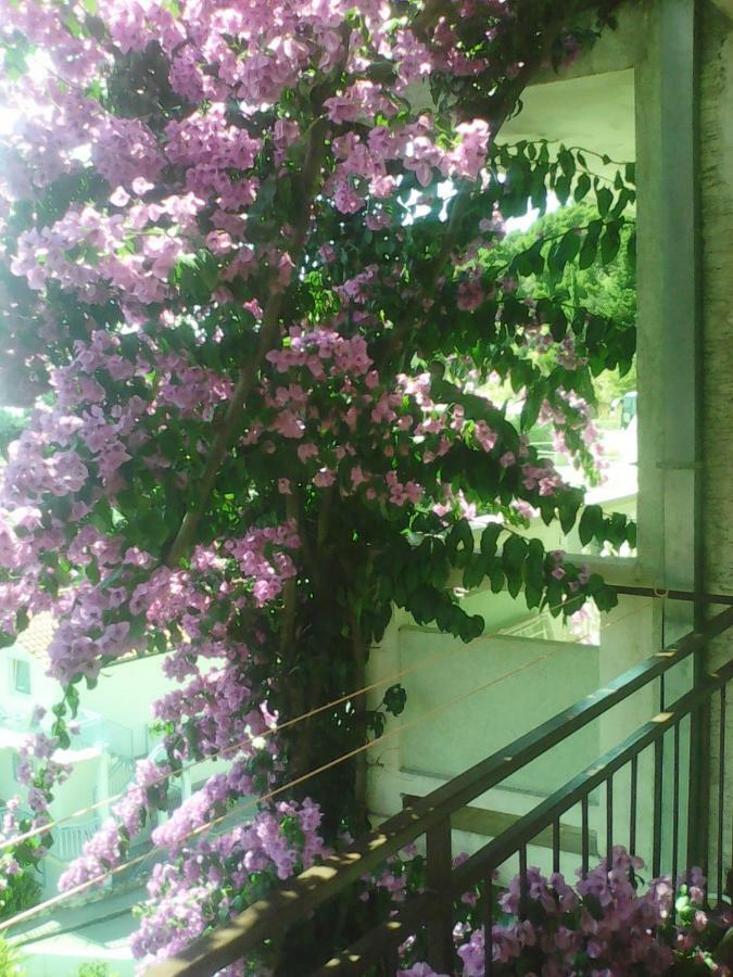 Apartmani Ivona Podgora Exterior photo